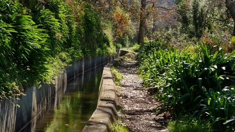 Levada  dos Tornos, Madeira. 動画素材 102670183