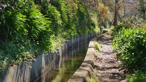 Levada  dos Tornos, Madeira. Video stock 102670295