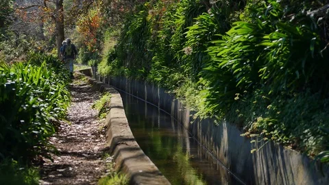 Levada  dos Tornos, Madeira. Video stock 102670299