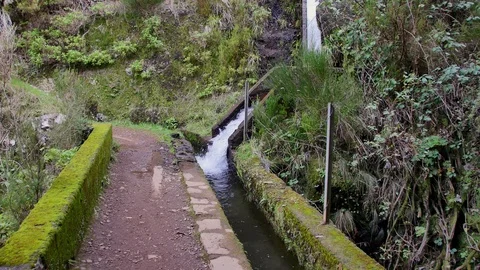 Levada  dos Tornos, Madeira. Видео 102671961