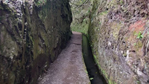 Levada  dos Tornos, Madeira. Video stock 102672066