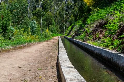 Levada high in Madeira mountains Stock Photos