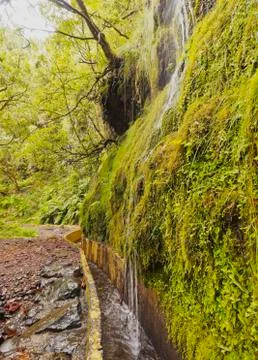 Levada on Madeira Stock Photos
