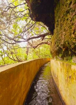 Levada on Madeira Stock Photos