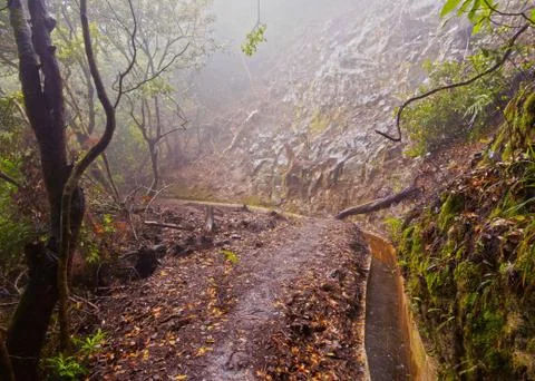 Levada on Madeira Stock Photos
