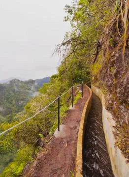 Levada on Madeira Stock Photos