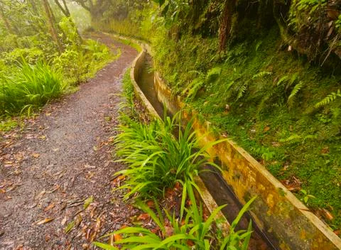 Levada on Madeira Stock Photos