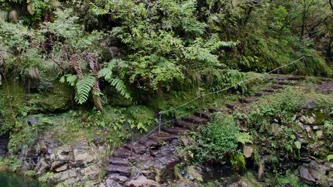 Levada on Madeira. Tourist path on the Spring Island. Stock-Footage 103097720