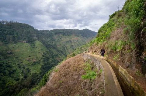 Levada Nova mountain hiking path, Madeira 写真素材
