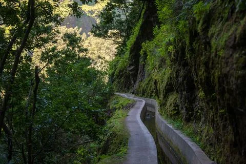 Levada path along mossy cliff in laurel forest on Madeira island 스톡 사진