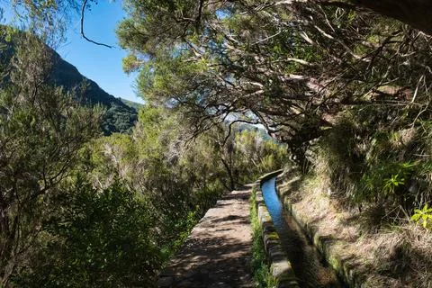Levada Rabacal Stock Photos