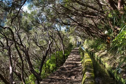 Levada Rabacal 스톡 사진