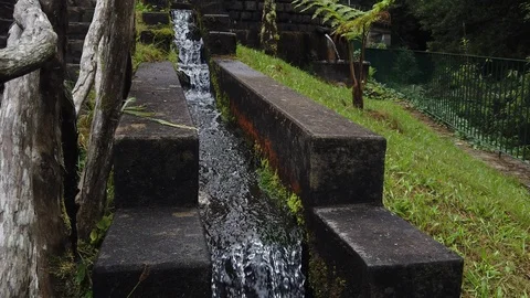 "Levada", small water channel, in Ribeiro Frio, Madeira island, Portugal 스톡 동영상 115191771