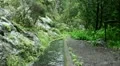 Levada waterway with hiking girl 20120225 125526b HD Footage