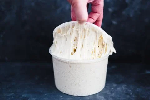 Levain full grown in a plastic container with a hand pulling Stock Photos