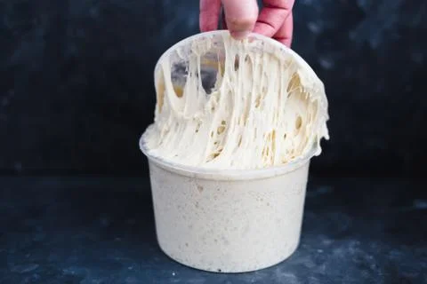 Levain full grown in a plastic container with a hand pulling Stock Photos