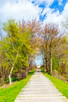 Levee with sandy path to beach at baltic sea Foto stock