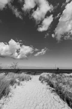 Levee with sandy path to beach at baltic sea Stock Photos