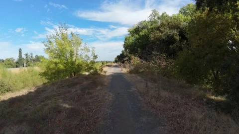 Levee walk hyper lapse in fall Stock-Footage 289335994