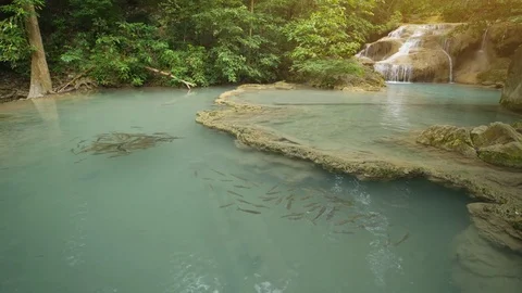 Level 1 of Erawan Waterfall with Neolissochilus stracheyi fish Video stock 78512614