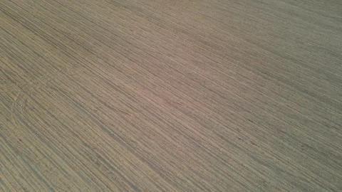 Level beds in the field after furrowing Video stock 246949007