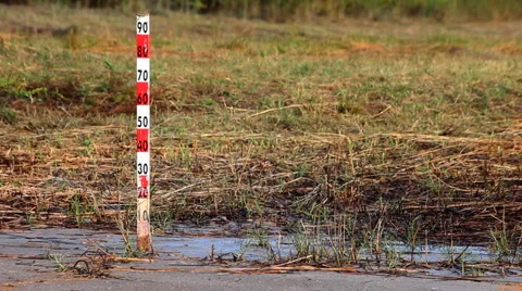 Level 库存影片 881572