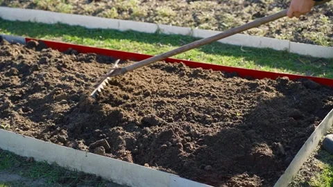 Leveling garden bed soil with rake in slow motion Stock Footage 339761462
