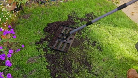 Levelling an uneven and bumpy lawn with a lawn leveller in a backyard with .. Stock Footage 337571459