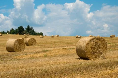 Levels with bales. Stock Photos