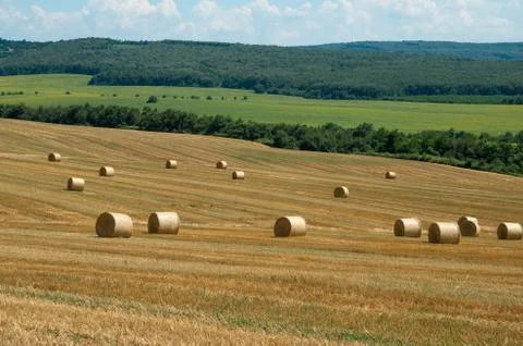 Levels with bales. Stock Photos