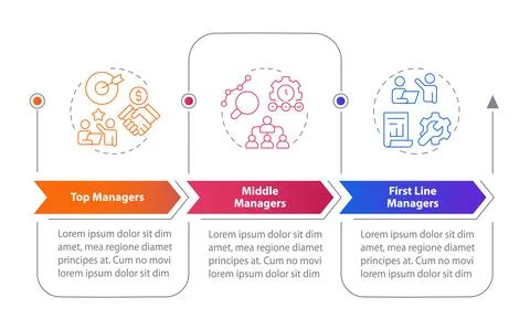 Levels of management rectangular infographics Ilustración de archivo