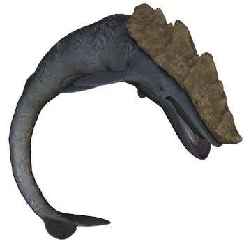 Leviathan Stock Illustration