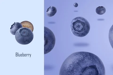 Levitating blueberries layout Stock Photos