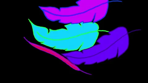 Levitating multicolored feathers cover the black screen. Stock Footage 313691369