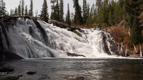 Lewis Falls in Yellowstone Stock Footage 142547980