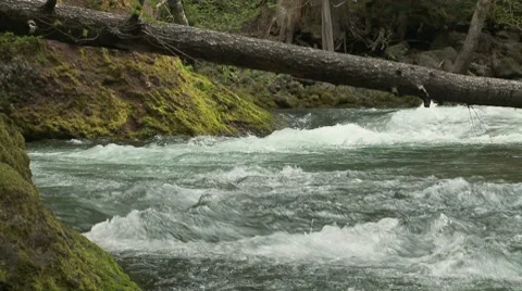 Lewis River 02 Video stock 7728522