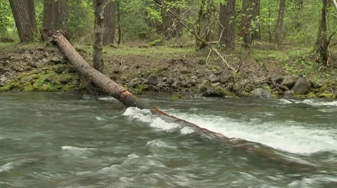 Lewis River 05 Stock Footage 7728577