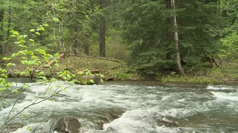 Lewis River 06 Video stock 7728606