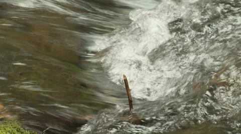 Lewis River 08 Stock Footage 7729637