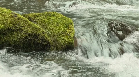 Lewis River 11 Video stock 7747216