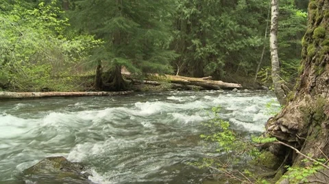 Lewis River 13 Stock Footage 7747306