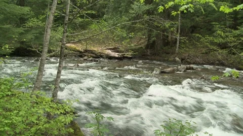 Lewis River 14 Stock Footage 7747311