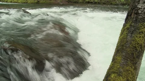 Lewis River 16 Video stock 7747368