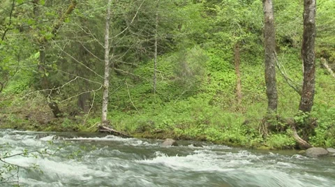 Lewis River Twin Falls 01 Stock Footage 7747517