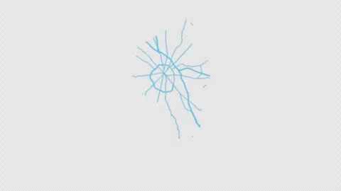 Lexington City Line Map Self Drawing Animated Overlay, Alpha 4K 스톡 동영상 340293443