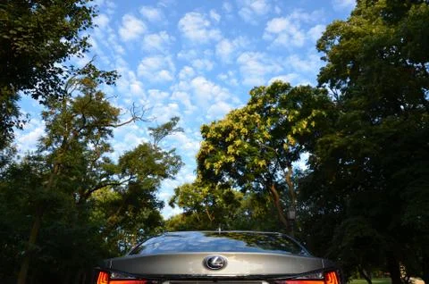 Lexus back Stock Photos