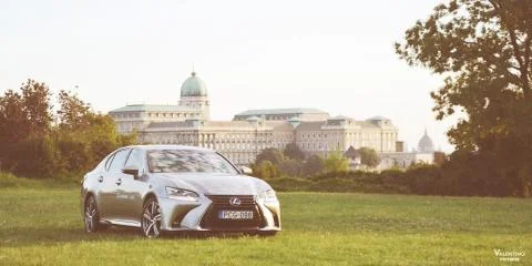 Lexus summer mood Stock Photos
