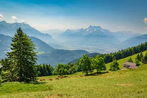 Leysin Alps 写真素材