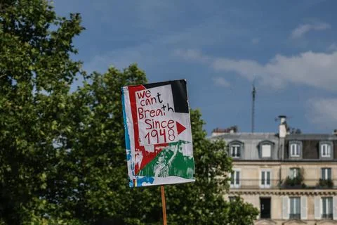 LFI protest against Israel's interception of the Freedom Flotilla, Paris, France 写真素材