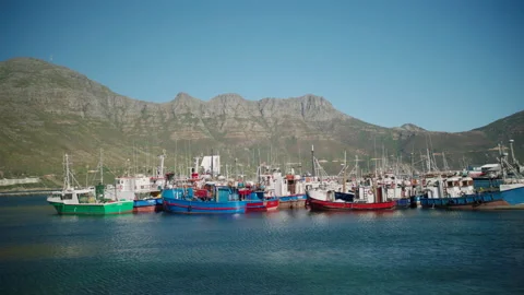 LFS0177 024 Stock Footage 153224973